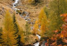 Bike-Herbst mit Kindern: Unsere liebsten Herbsttouren und Tipps Bike-Herbst im Wipptal