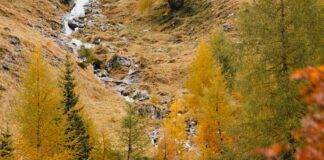 Bike-Herbst mit Kindern: Unsere liebsten Herbsttouren und Tipps Bike-Herbst im Wipptal