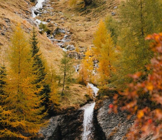 Bike-Herbst mit Kindern: Unsere liebsten Herbsttouren und Tipps Bike-Herbst im Wipptal