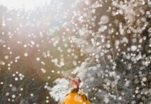 Natureis: Eislaufen mit Kindern auf Seen in den Alpen Eislaufen am Piburger See