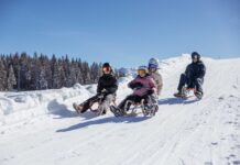 Rodeln mit der Familie: Die schönsten Rodelbahnen in den Alpen Family Fun auf der Naturrodelbahn
