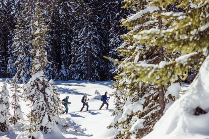 Schneeschuhwandern in Alpbach Schneeschuhwandern in Alpbach
