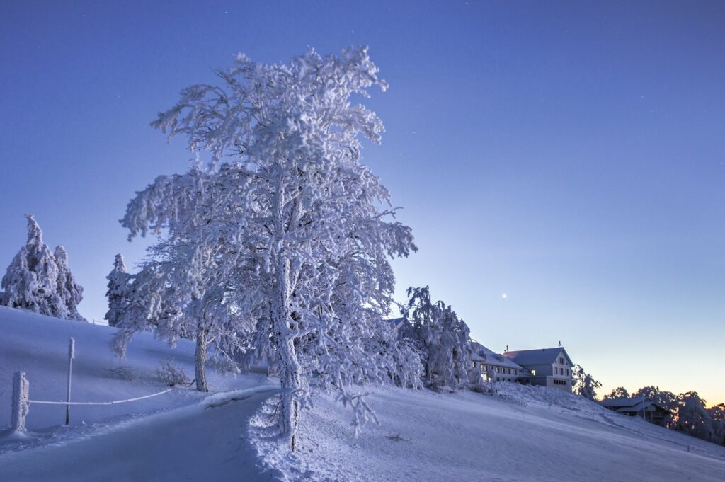 Verschneite Bäume und Kurhaus auf dem Weissenstein im Winter