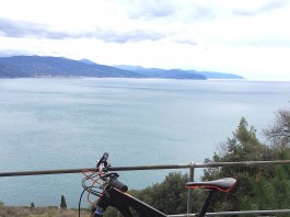 SCOTT GENIUS LT 700 Tuned 2015