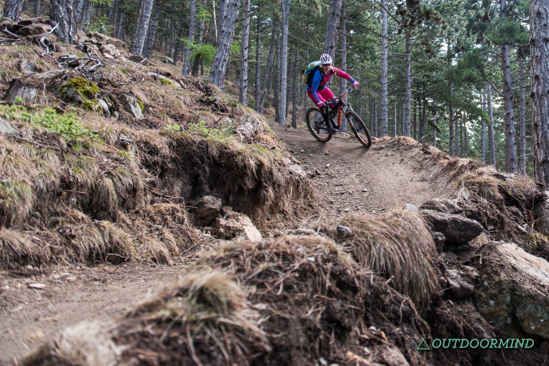 Roxy auf dem Propain Trail in Latsch